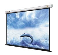 Electric Screen