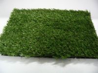 landscaping grass