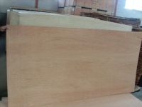 Bintangor plywood