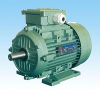 electric motor