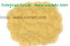 Ginkgo Biloba Leaf Extract