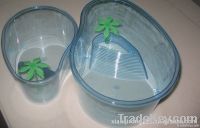 plastic turtle cases