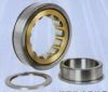 Cylindrical Roller Bearing