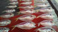 Salted Dried Fish