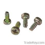 Micro Screws