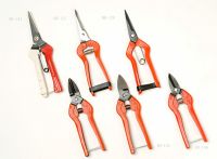 garden shears-2