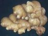 https://cn.tradekey.com/product_view/Chinese-Ginger-569695.html