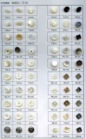 shell button 1