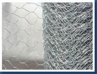 Hexagonal wire netting