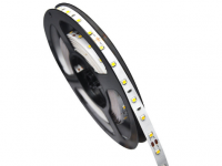 3528 SMD LED strip light From China