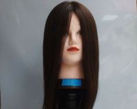 Trainning Mannequin Head