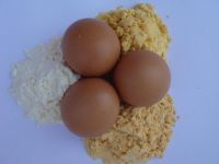 Whole Egg Powder