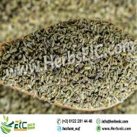 Anise Seed