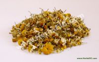 Sell Offer for Bulk Chamomile Flower