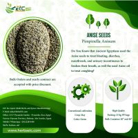 Anise Seed