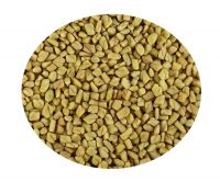 Fenugreek