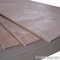 Furniture Plywood
