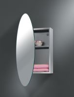 Mirror Cabinet