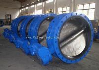 Double Flanged Butterfly Valves From China