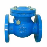 Check Valves Swing Type