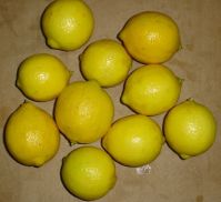 Lemon