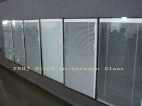 Blind Between Glass