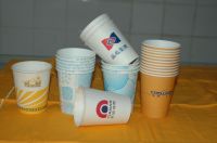 Paper Cup