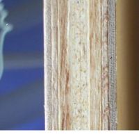 Fireproof Plywood