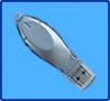 Flash Disk