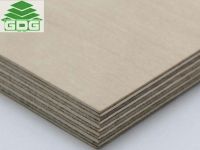 Film Faced Shuttering Plywood & Anti Slip Plywood