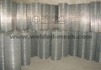 galvanized wire mesh&amp;netting