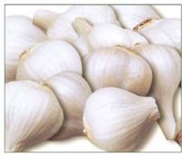 garlic ("china top brand")