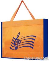 Beach Bag