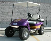 petrol golf cart (DS-GGF06)