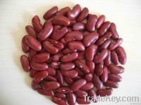 Red Kidney Beans