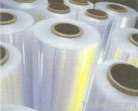 PET Film