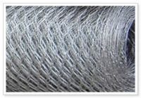 hexagonal wire netting