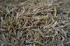 ALL TYPE OF INDIAN DRY FISH