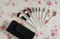 cosmetic brush set