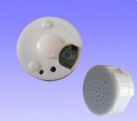 10&quot; recorder sound box, voice chip and music module