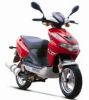 Gas Scooter B08