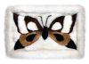 https://cn.tradekey.com/product_view/Alpaca-Fur-Butterfly-Rug-46709.html