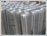 Welded Wire Mesh