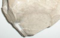 Lime Stone