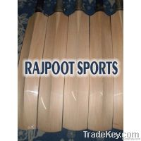 Plain Cricket Bat