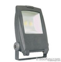 LED Flood Light (100W)