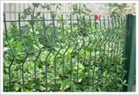 Wire Mesh Fences