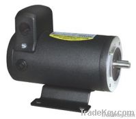 Permanent Magnet DC Motor