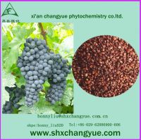 Grape seed extract