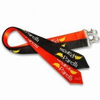 Lanyard